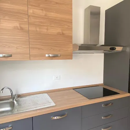 The Swan - Composed By 2 曼代洛-德尔拉里奥