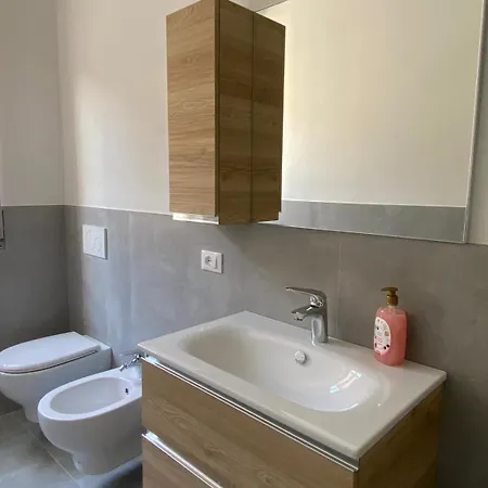 The Swan - Composed By 2 曼代洛-德尔拉里奥