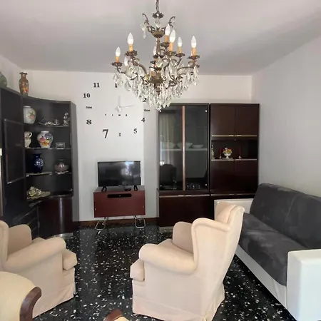 The Swan - Composed By 2 曼代洛-德尔拉里奥