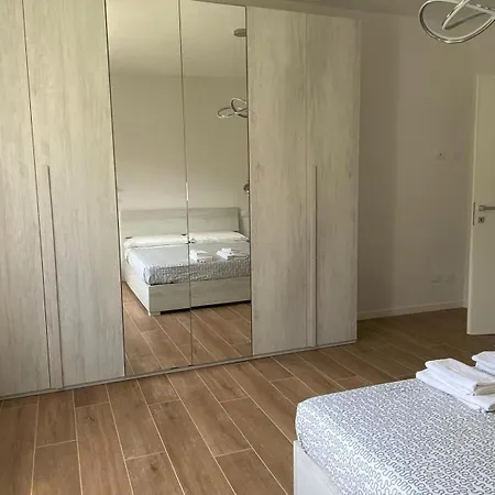 The Swan - Composed By 2 曼代洛-德尔拉里奥