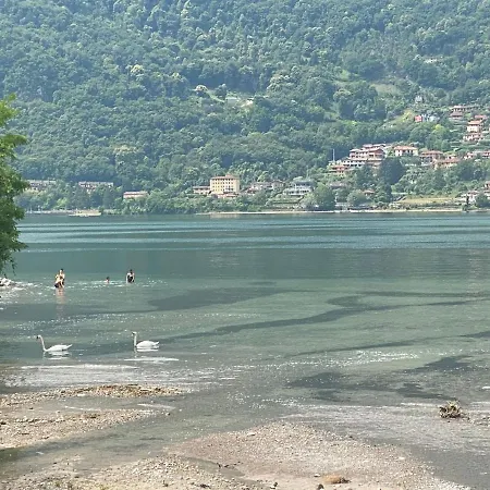 The Swan - Composed By 2 Apartamento