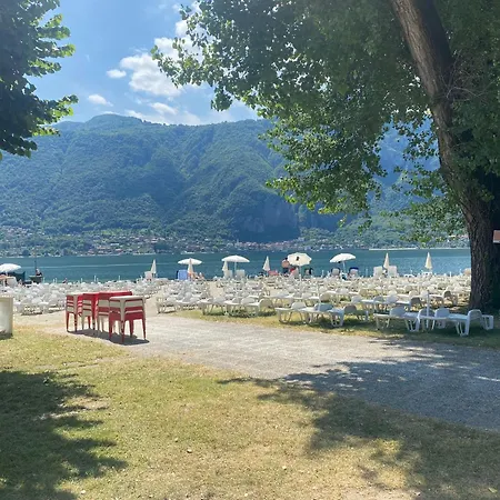 The Swan - Composed By 2 *